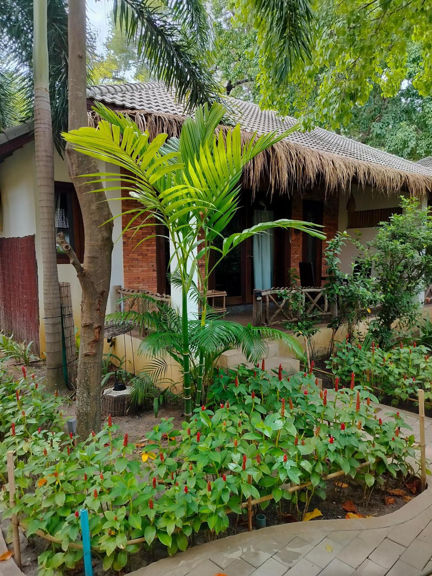 La Riviere D' Angkor Resort Siem Reap Exterior foto